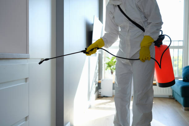 Professional Mold Removal in Commerce City, CO